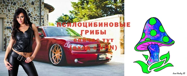 эйфоретик Алзамай
