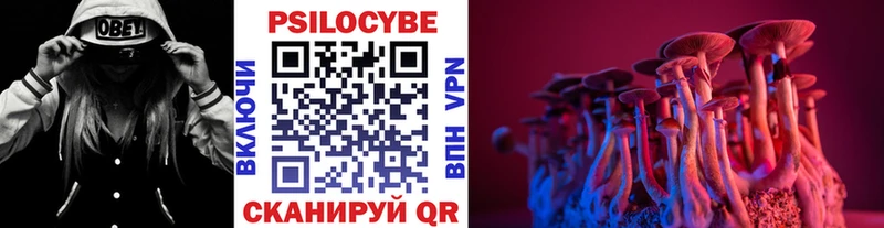 мориарти официальный сайт  продажа наркотиков  Сургут  Галлюциногенные грибы Psilocybe  гидра зеркало 