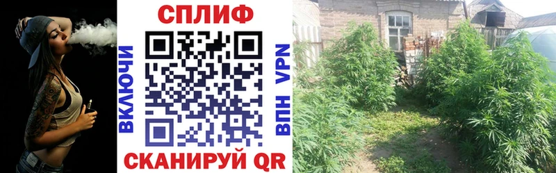Шишки марихуана OG Kush  продажа наркотиков  Сургут 